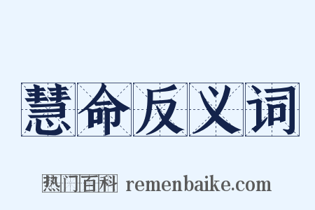 慧命反义词是什么意思的图片